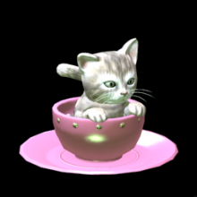 Kitten Cup